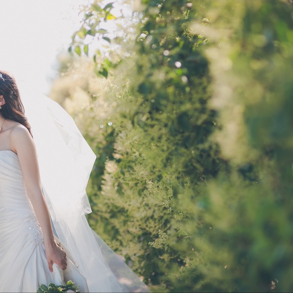 Maggie Sottero Benita Strapless Wedding Gown and 2 Wedding Veils - Picture 15 of 16